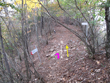 20171012hike (210)